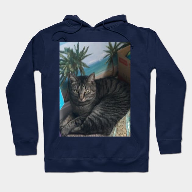 Tropical Hideaway Hoodie by Amanda1775